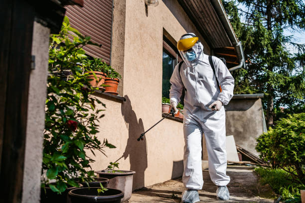 Best Pest Inspection Near Me  in Waverly, VA