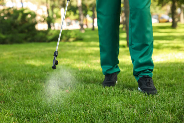 Best Bed Bug Extermination  in Waverly, VA