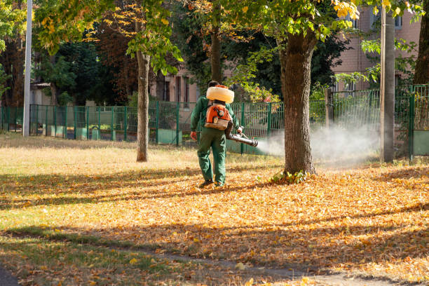 Best Wasp Removal Services  in Waverly, VA